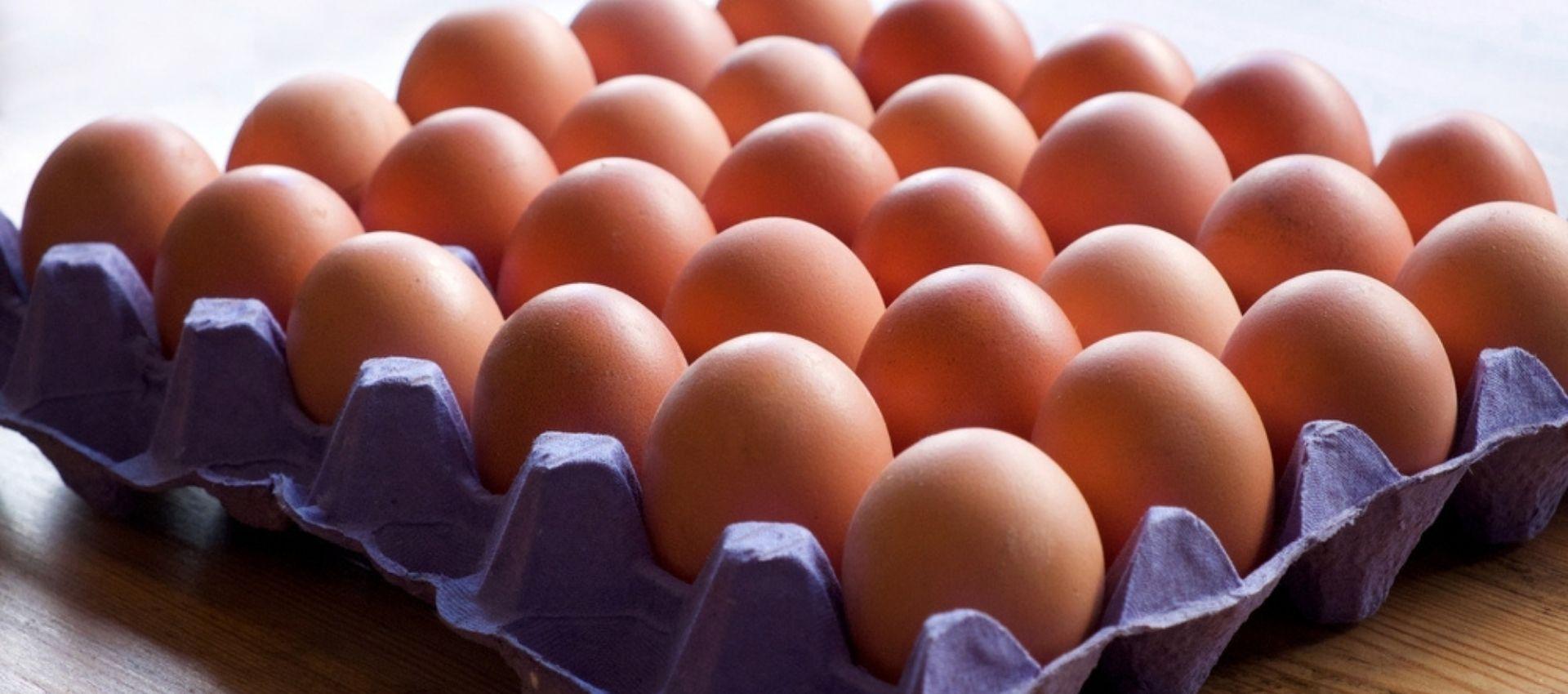 Yumurta Arasındaki Farklar ve Hangisi Daha Sağlıklı
